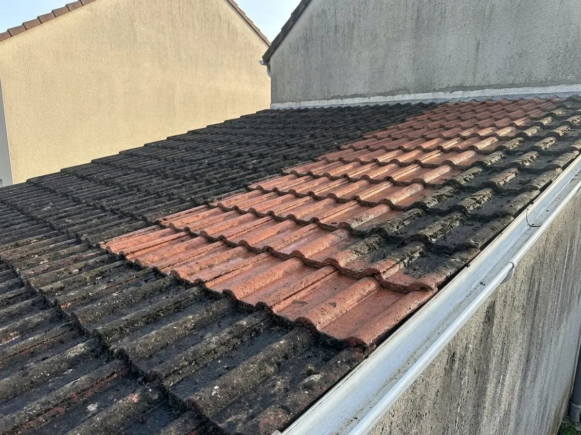 Démoussage de toiture à Moissy-Cramayel